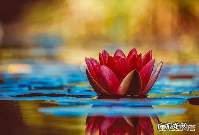 怎么样给自己的女朋友送礼物?如何送?