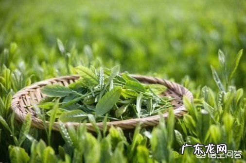 你最初的梦想是否被现实打败？