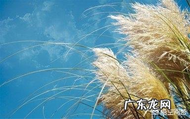 女孩子慢慢态度变得冷淡,该怎么办?