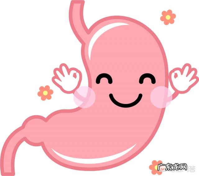 哪些食物最养胃?哪些食物最伤胃?