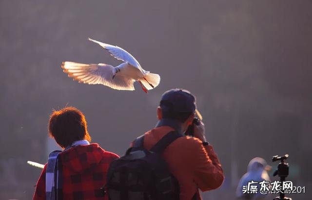 过年去云南旅游,合适吗?