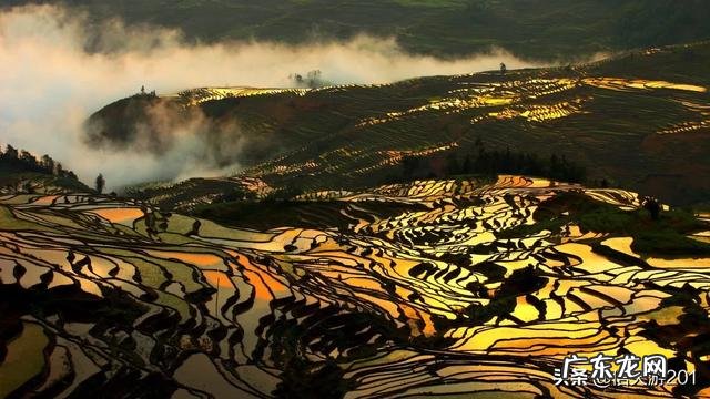 过年去云南旅游,合适吗?