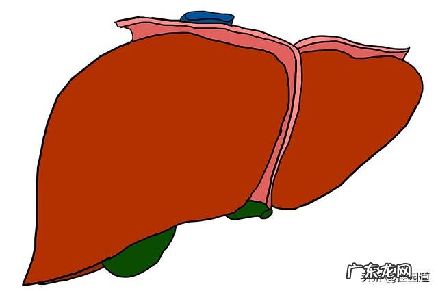 肝不好的人,会有哪些症状?