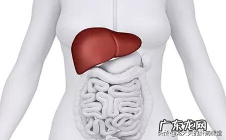 肝不好的人,会有哪些症状?