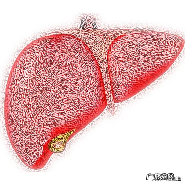 肝不好的人,会有哪些症状?