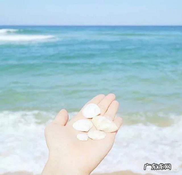 你们见过最美的关于爱情的句子,是什么?