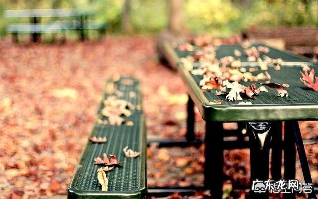 有哪些心情不好的伤感句子说说？