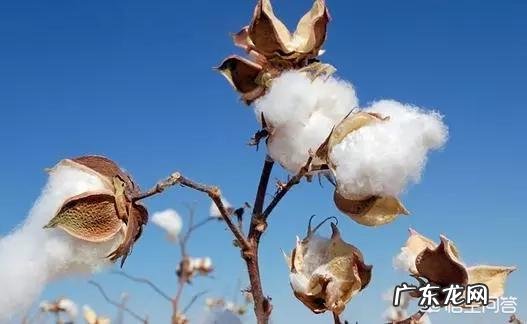 男士格子衬衫如何搭配，既时尚又充满男人味？