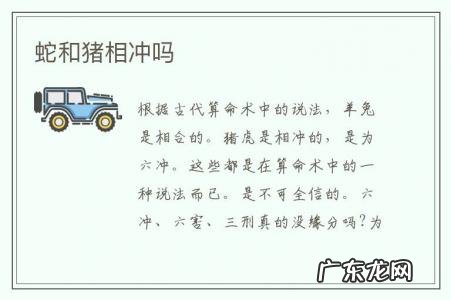 蛇和猪相冲吗-蛇和猪相冲吗姐弟