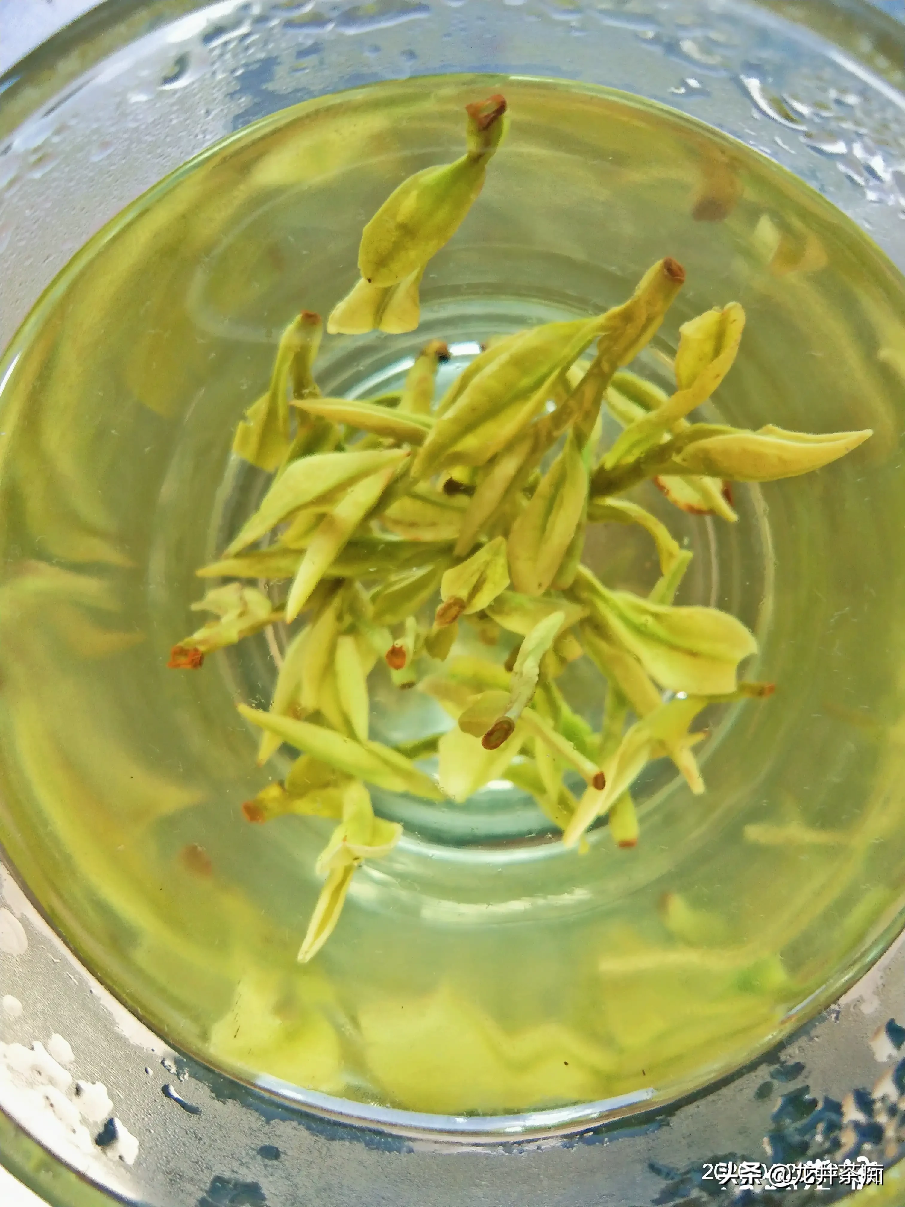 为什么绿茶泡出来的茶汤那么脏,铁观音泡出的茶汤那么清澈?