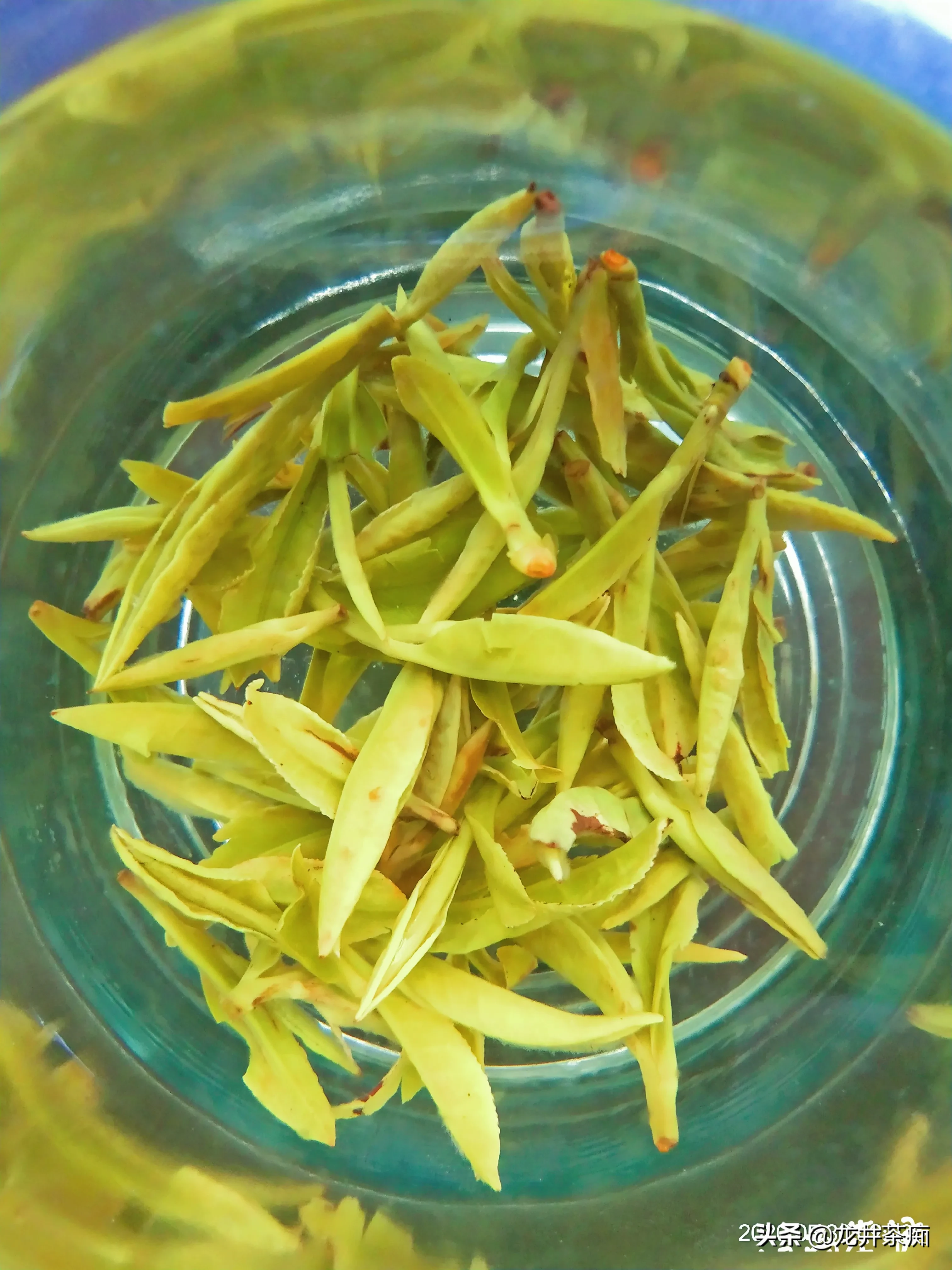 为什么绿茶泡出来的茶汤那么脏,铁观音泡出的茶汤那么清澈?