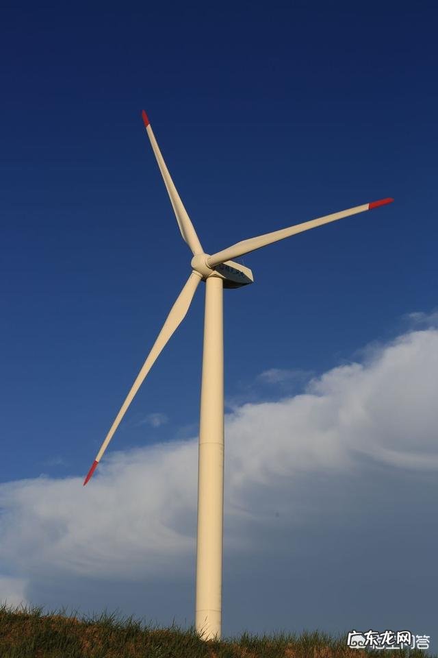 图中这辆小车能不能逆风前进?为什么?