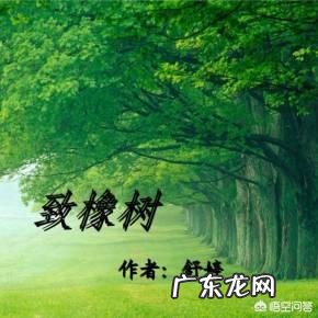 男人是如何看待舒婷《致橡树》中的爱情观？