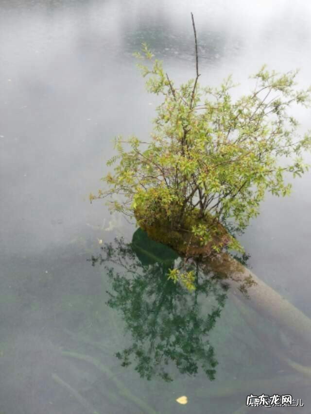 一个人适合去什么地方旅行？