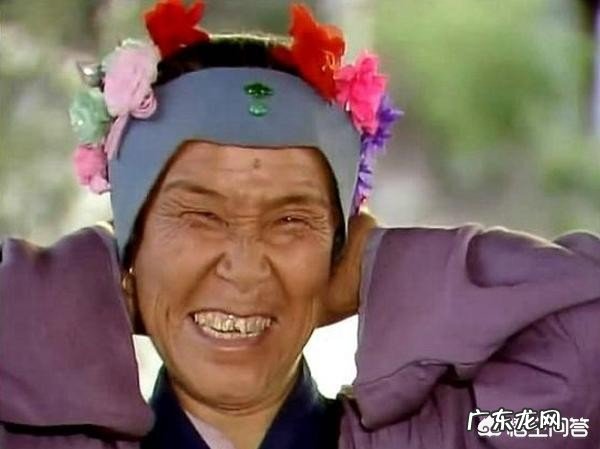 《红楼梦》中,刘姥姥进大观园每个人的笑有什么不同吗?