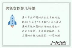 男兔女蛇是几等婚-男蛇女兔婚配吗