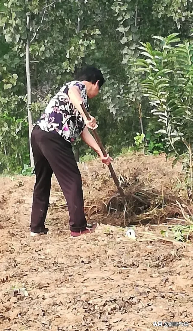 80岁的奶奶,到处跑工厂找事情做,什么心理?