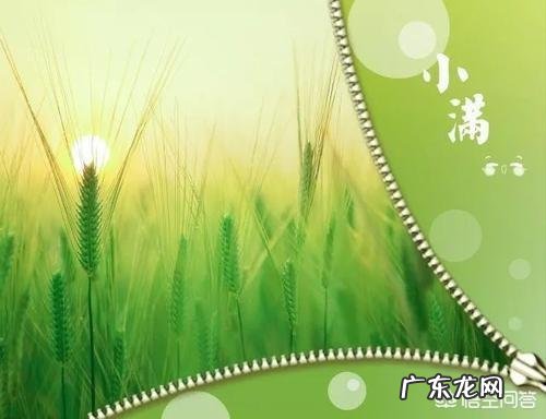 今日小满，农村俗语“小满不满，麦有一险”是什么意思？为何麦子有一险？