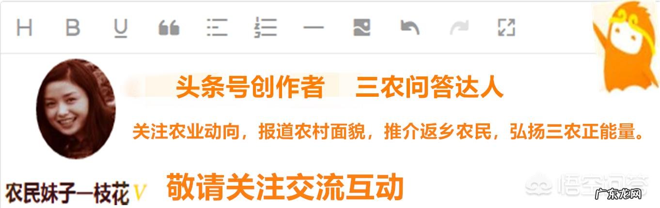 今日小满,农村俗语“小满不满,麦有一险”是什么意思?为何麦子有一险?