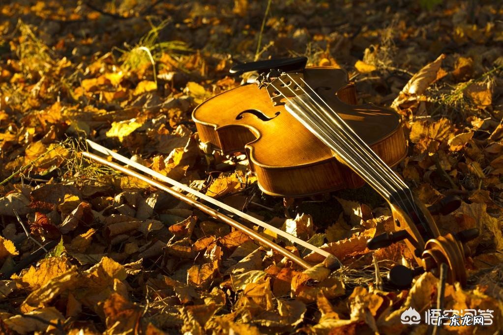 你听过什么暖暖的小故事呢?