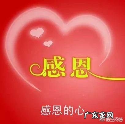 哪一部电影或电视剧打动了你?