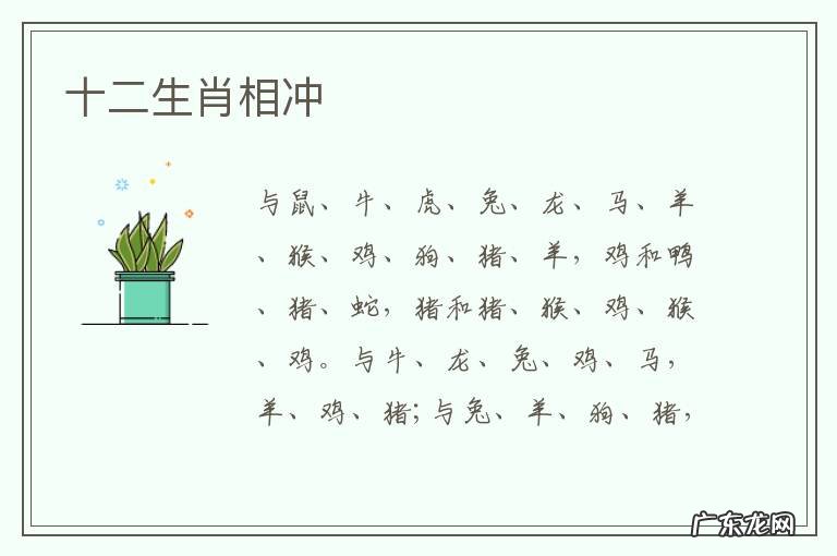 十二生肖相冲-十二生肖相冲相克表