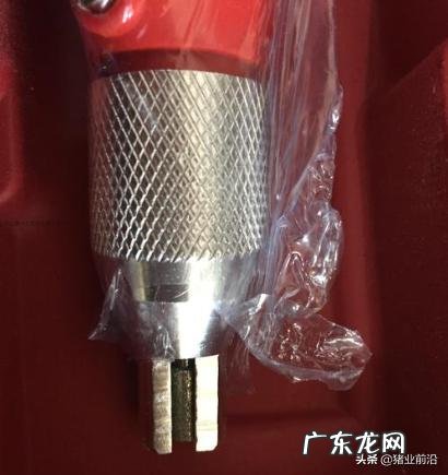 不给仔猪剪牙行不行？