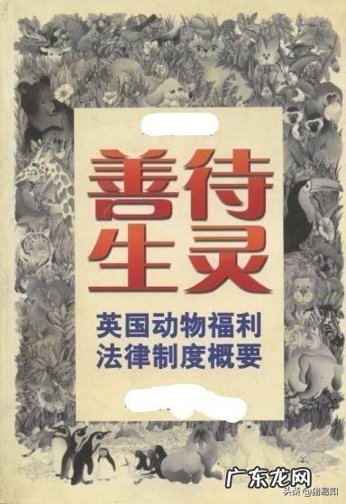 不给仔猪剪牙行不行？