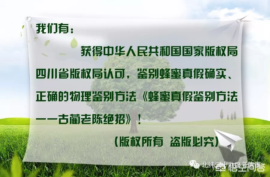 为什么真蜂蜜喝起来没有想象中的那么甜?