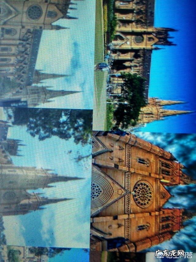 你在澳大利亚偶遇过哪些有趣的野生动物？