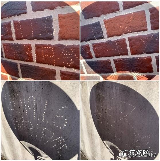 今天日食时树下看到的阴影求科学解释?