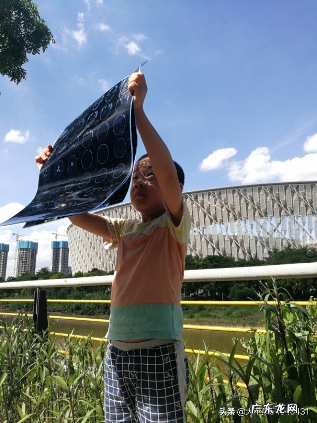 今天日食时树下看到的阴影求科学解释?