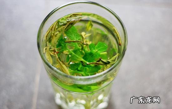 喝什么茶或者水对去湿气有帮助?