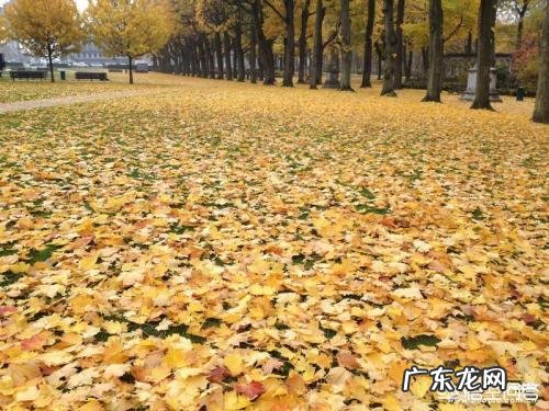 2019秋冬什么鞋子最流行?