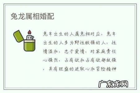 兔龙属相婚配-1988年属龙人最佳婚配
