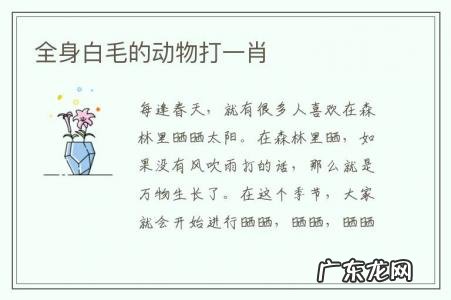 全身白毛的动物打一肖-全身白毛动物什么生肖