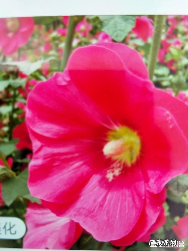 你忘了你曾经喜欢的那个人吗?