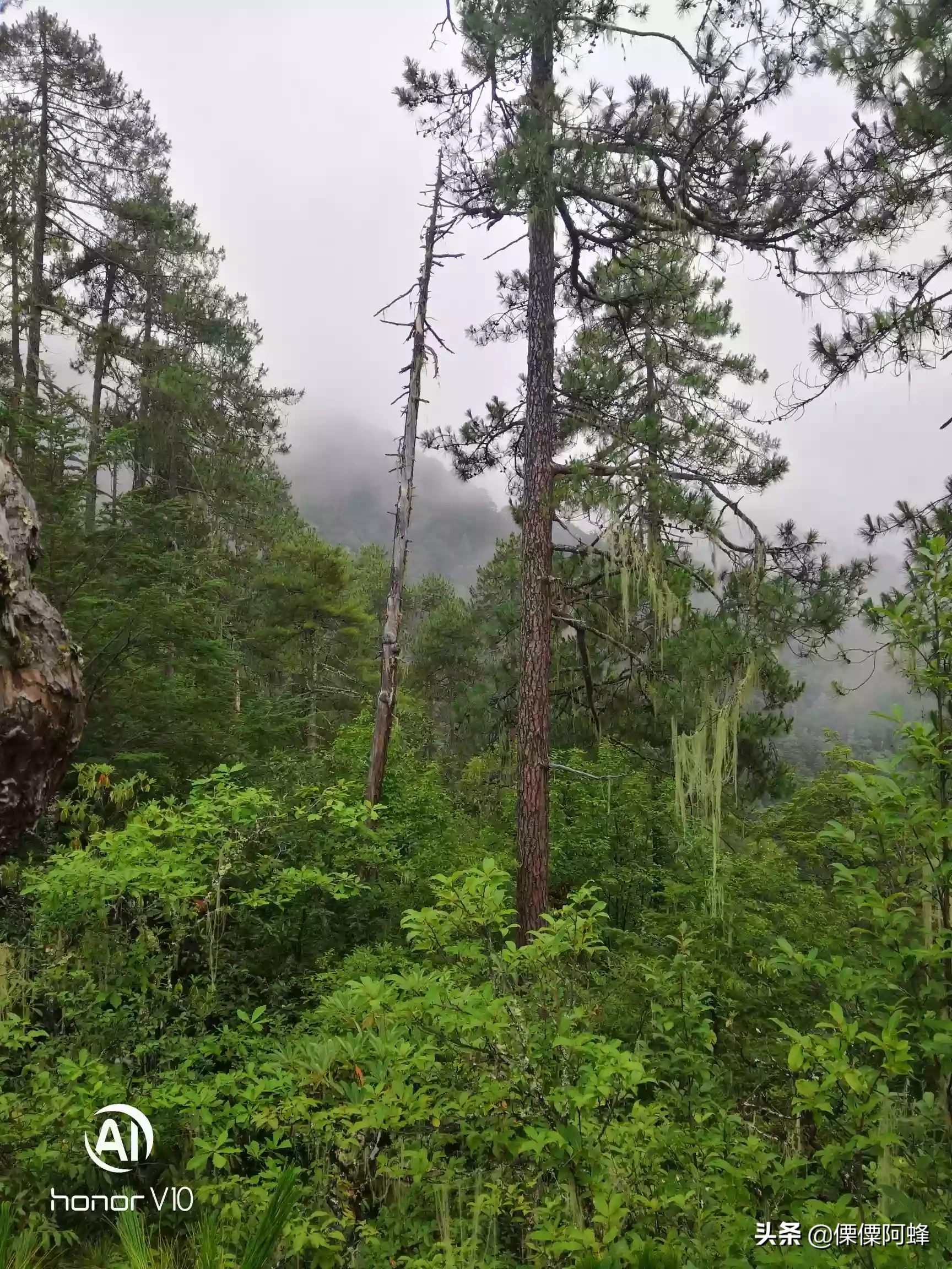 世界十大自然奇观是什么?