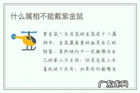 什么属相不能戴紫金鼠-戴紫金鼠有什么忌讳么