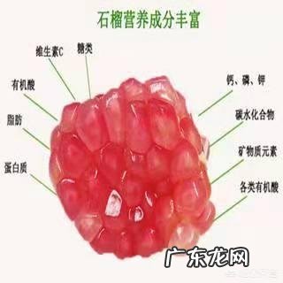 孕期适合吃石榴吗?