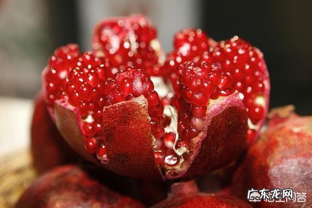 孕期适合吃石榴吗?