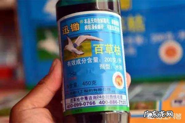 为什么「百草枯」毒性如此之强,喝一口就救不过来?