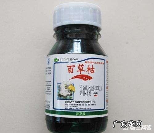 为什么「百草枯」毒性如此之强,喝一口就救不过来?