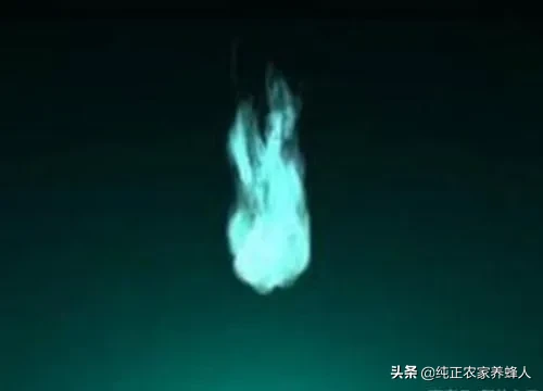 60年代鬼火遍地是,为什么现在很少见呢?