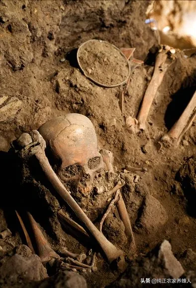 60年代鬼火遍地是,为什么现在很少见呢?