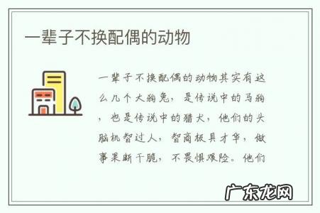 一辈子不换配偶的动物-终身不娶的动物