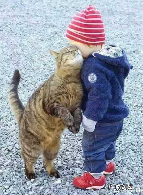 初入职场，该如何正确应对面试？