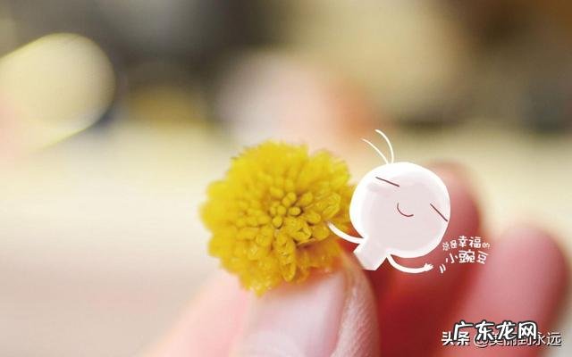 什么是你向往的生活?