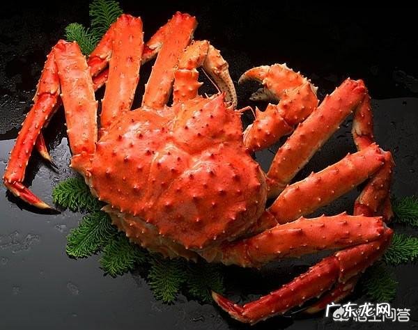 为什么帝王蟹不是螃蟹?