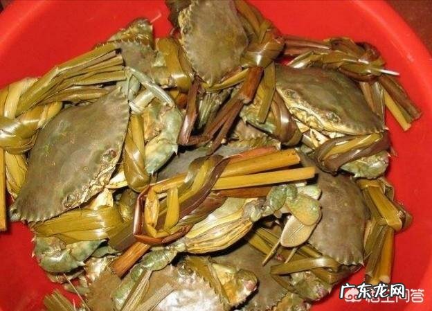 为什么帝王蟹不是螃蟹?